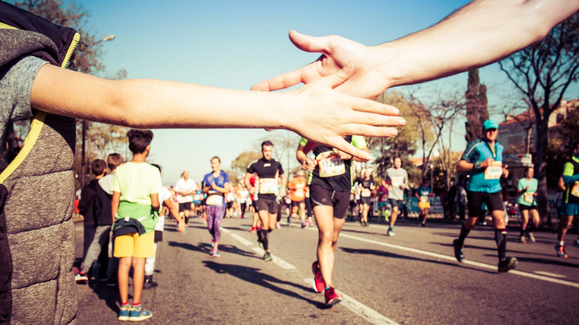 Ortec Group - Course de l'algernon 2019