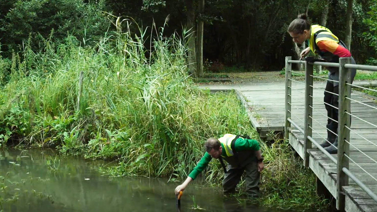 Prise d'échantillon dans un cours d'eau - analyse PFAS